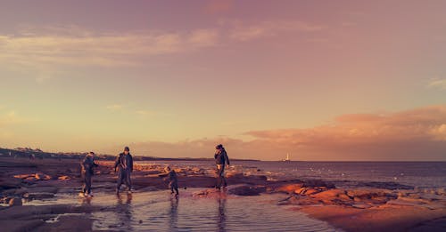 Four People Walking on Seashore during Golden Hour