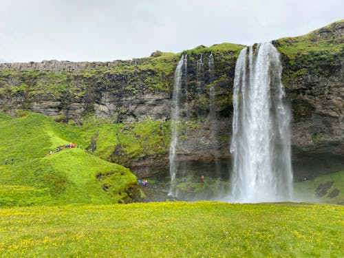 Green Grassland and Waterfall