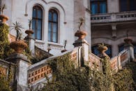 这座历史悠久的别墅外观，有覆盖着常春藤的石楼梯和盆栽植物点缀