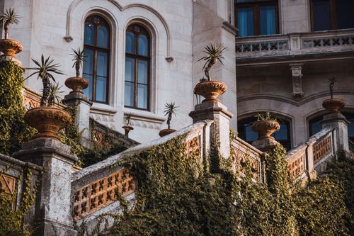 Free Historic villa exterior with ivy-clad stone staircase and potted plants. Stock Photo