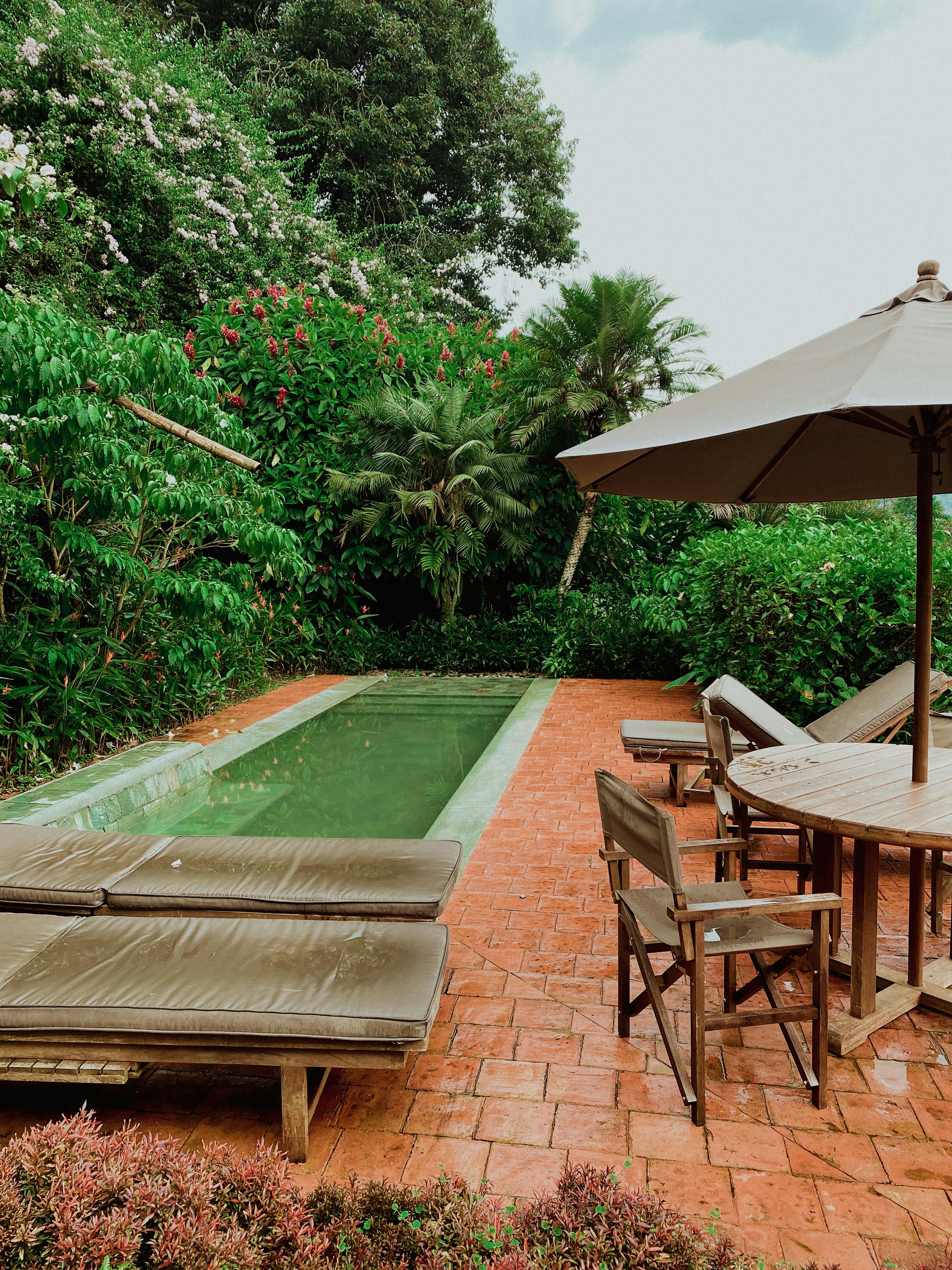 swimming pool and wooden furniture at house in tropical landscape