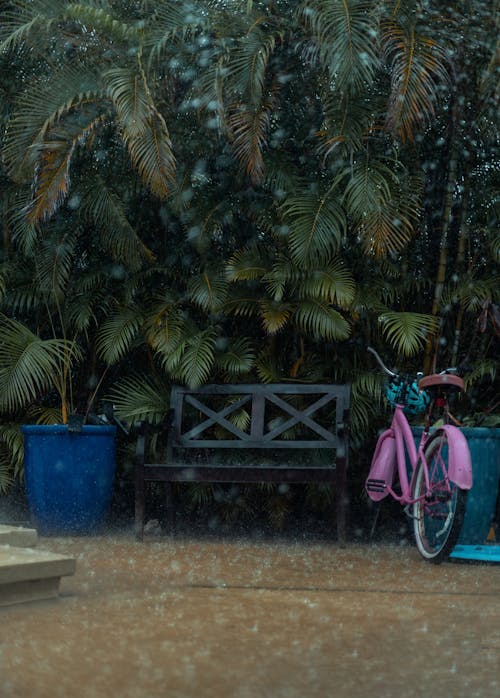 Wooden Bench and Pink Bike in Yard