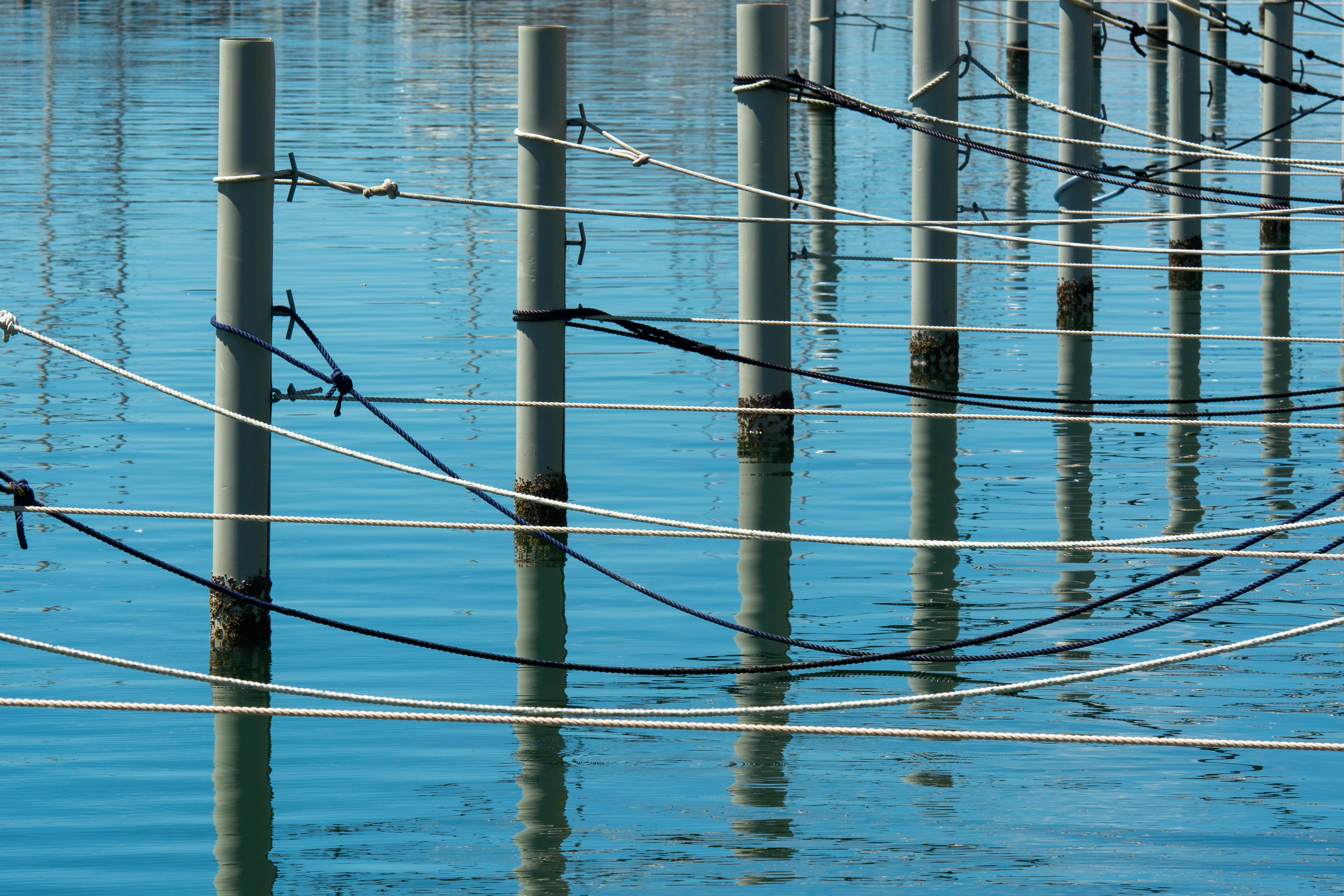 Service orders tackle post maintenance, repair issues — Photo by Jan van der Wolf on Pexels