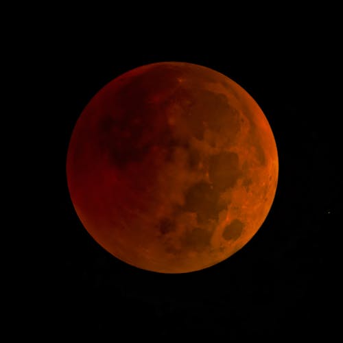 Free Full, Red Moon Stock Photo