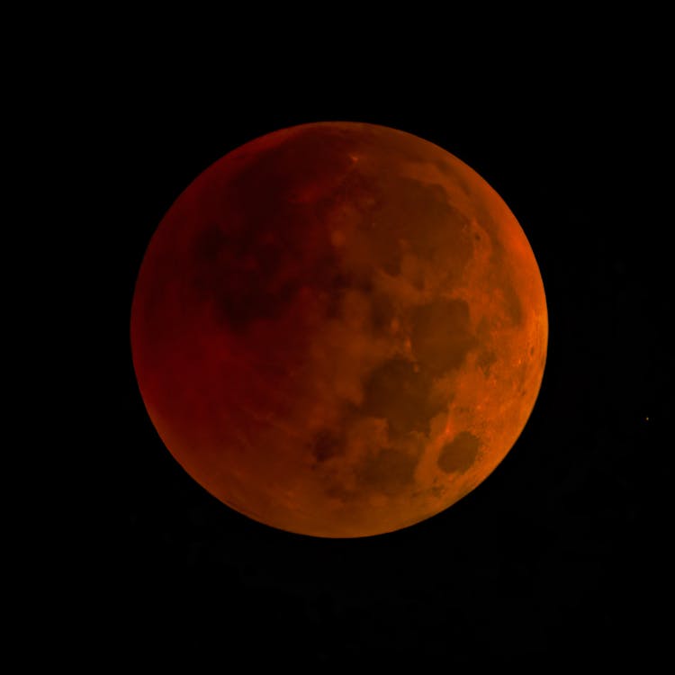 Full, Red Moon · Free Stock Photo