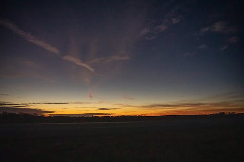 Grass Field during Sunset