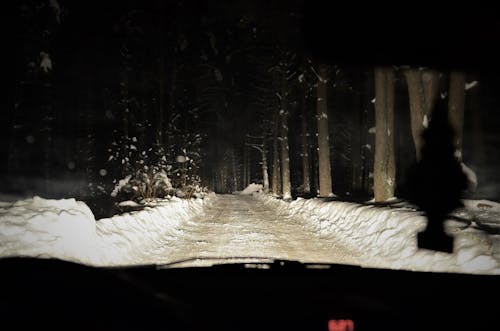 Road in Snow in Forest at Night