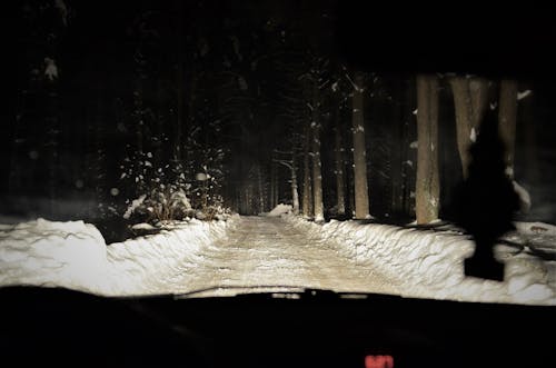 Fotobanka s bezplatnými fotkami na tému cesta, chladný, interiér auta