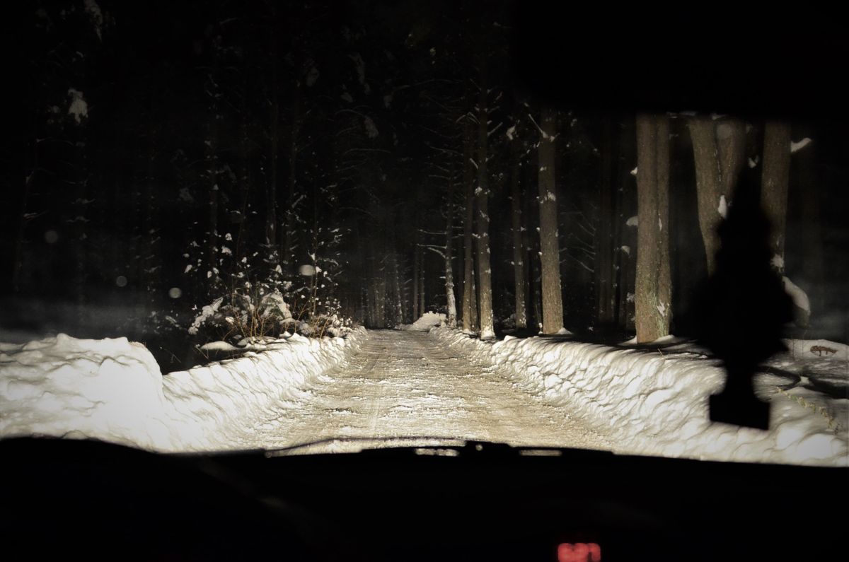 View from inside a car of a snowy forest road lit by headlights