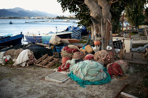 Free Fishing Nets Placed Under a Tree Beside Boats on Shore Stock Photo