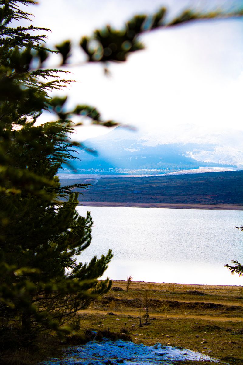 Tranquil lakeside scenery with evergreen trees and distant snowy mountains under an overcast sky.