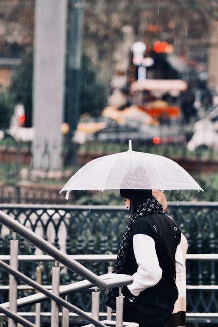 Navigating the Rainy Season Like a Pro Navigating the Rainy Season Like a Pro