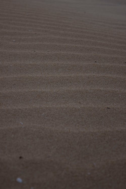 Foto stok gratis bukit pasir, gurun pasir, merapatkan