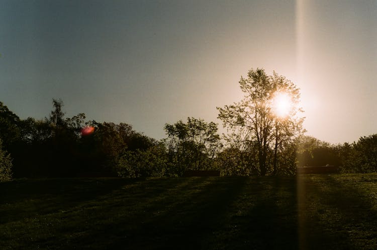 Sun Setting On Horizon In Park