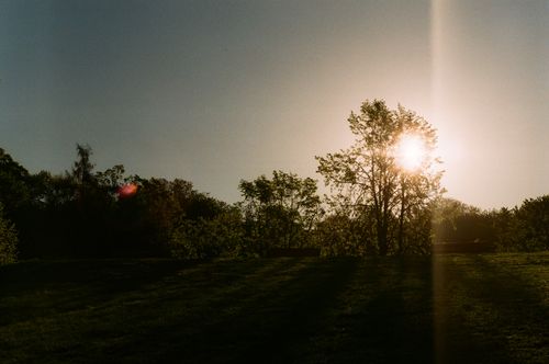 Free A tranquil sunset scene featuring trees silhouetted against the sun in a peaceful park. Stock Photo