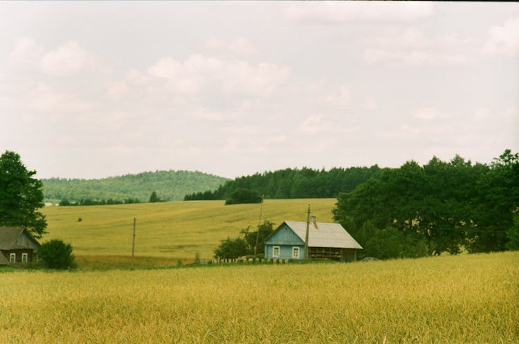 House On Farm On Rural Landscape