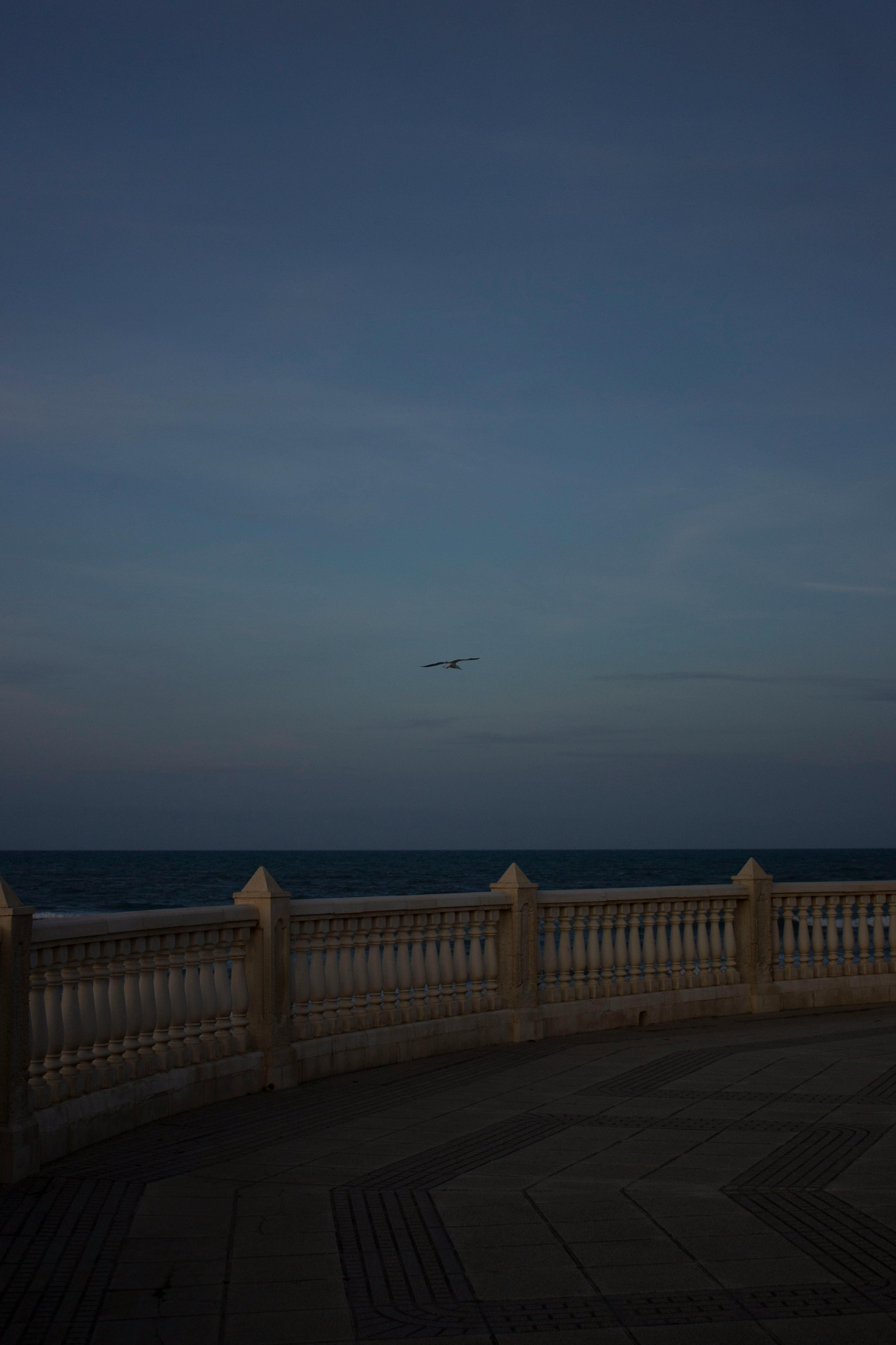 frente al mar