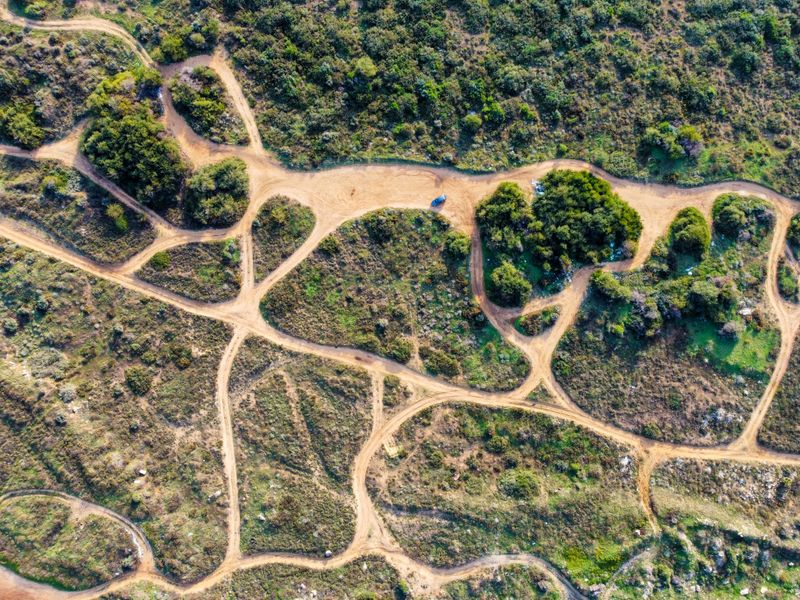Dirt tracks branching through green countryside — photo by Lio Voo on Pexels
