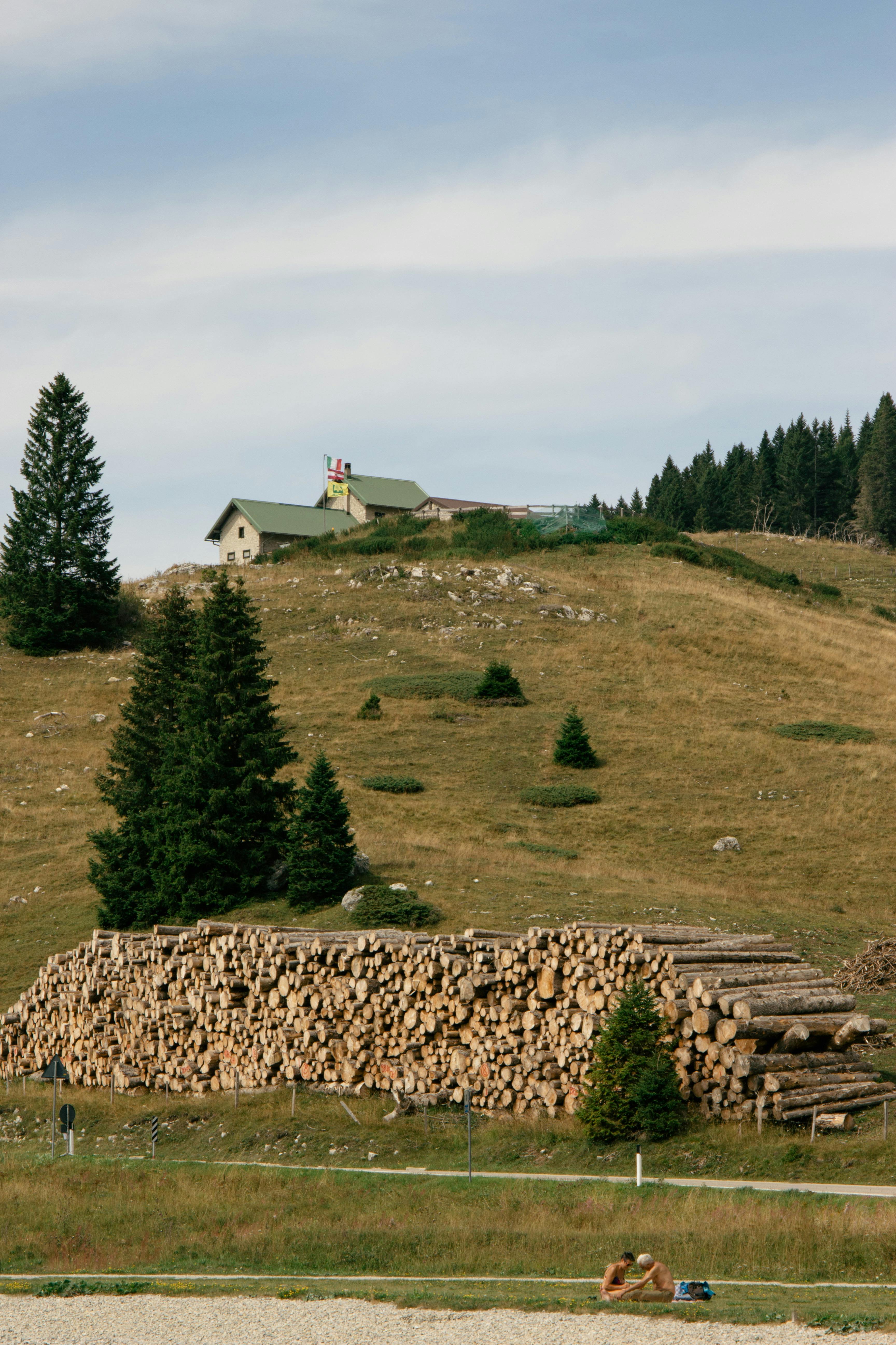 View of a serene hillside with a wooden stack in Folgaria, Italy during summer.