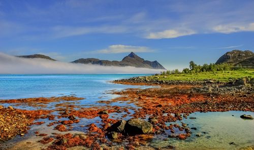 Free Breathtaking coastal landscape in Napp, Nordland, featuring mountains and vibrant waters. Stock Photo