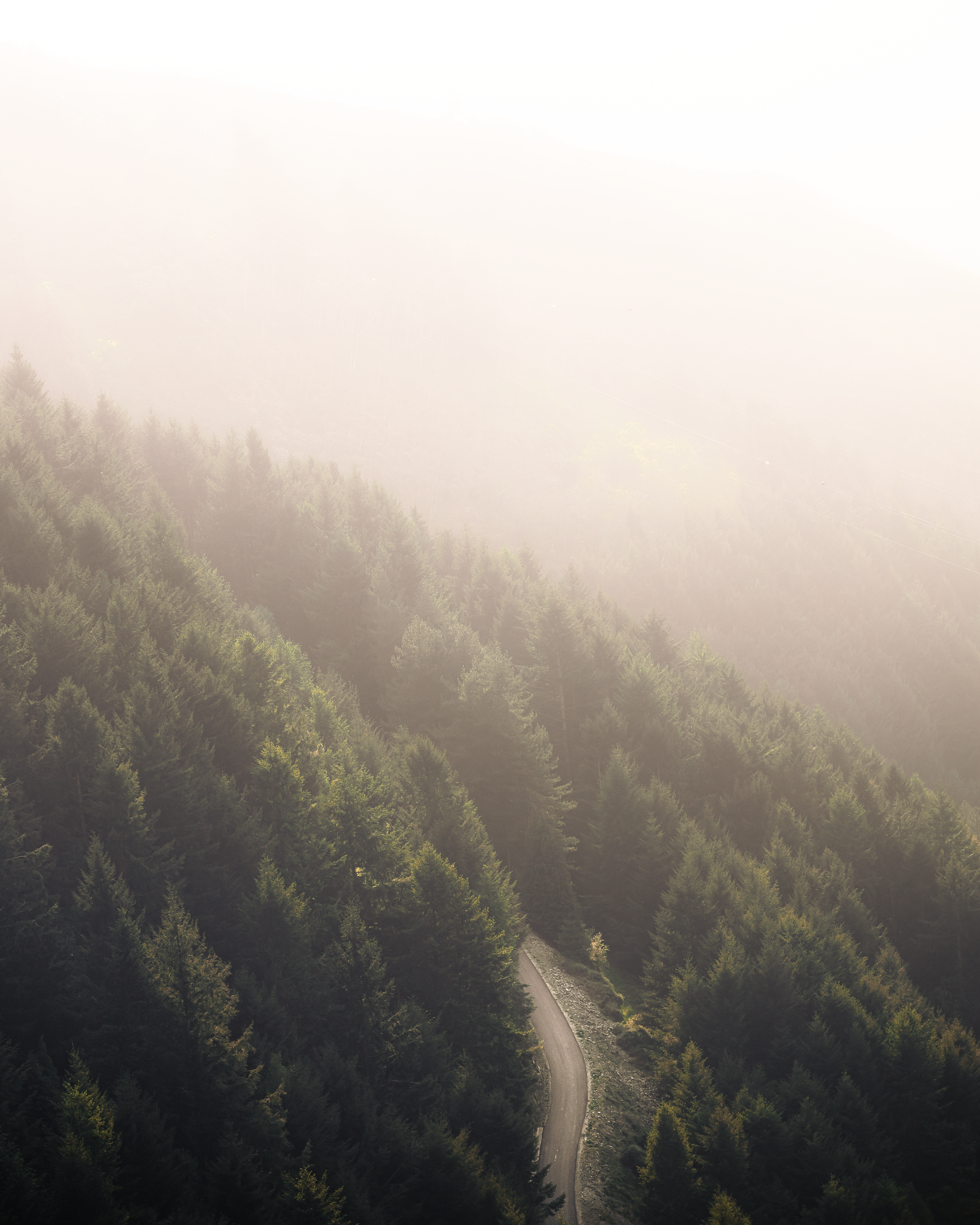 Aerial View of a Foggy Mountain · Free Stock Photo
