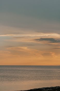 Peaceful seascape with a bird silhouetted against a sunset sky.
