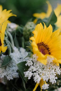 Image by Lizzy Honey