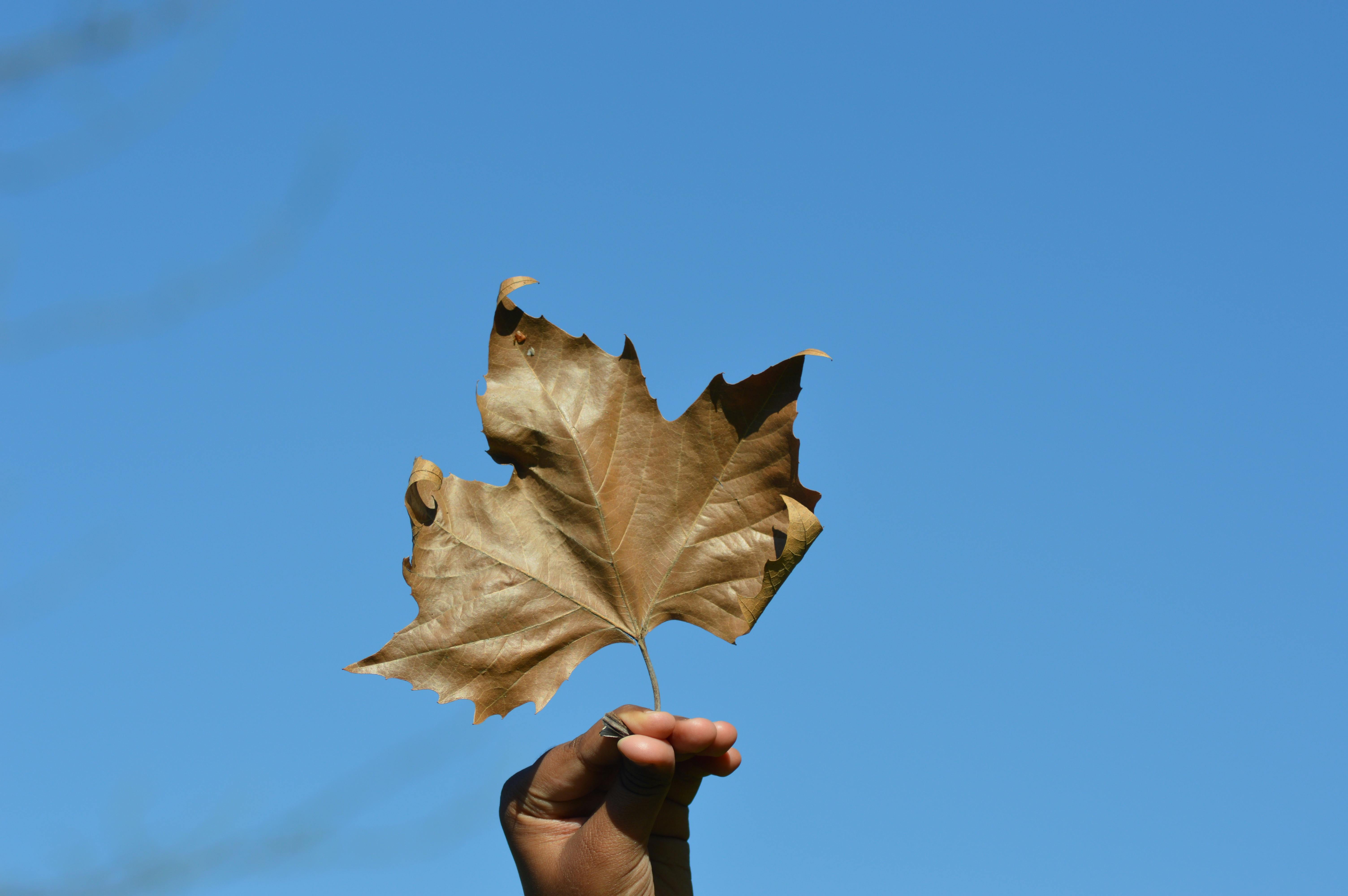 زيارة المتحف الوطني السويسري