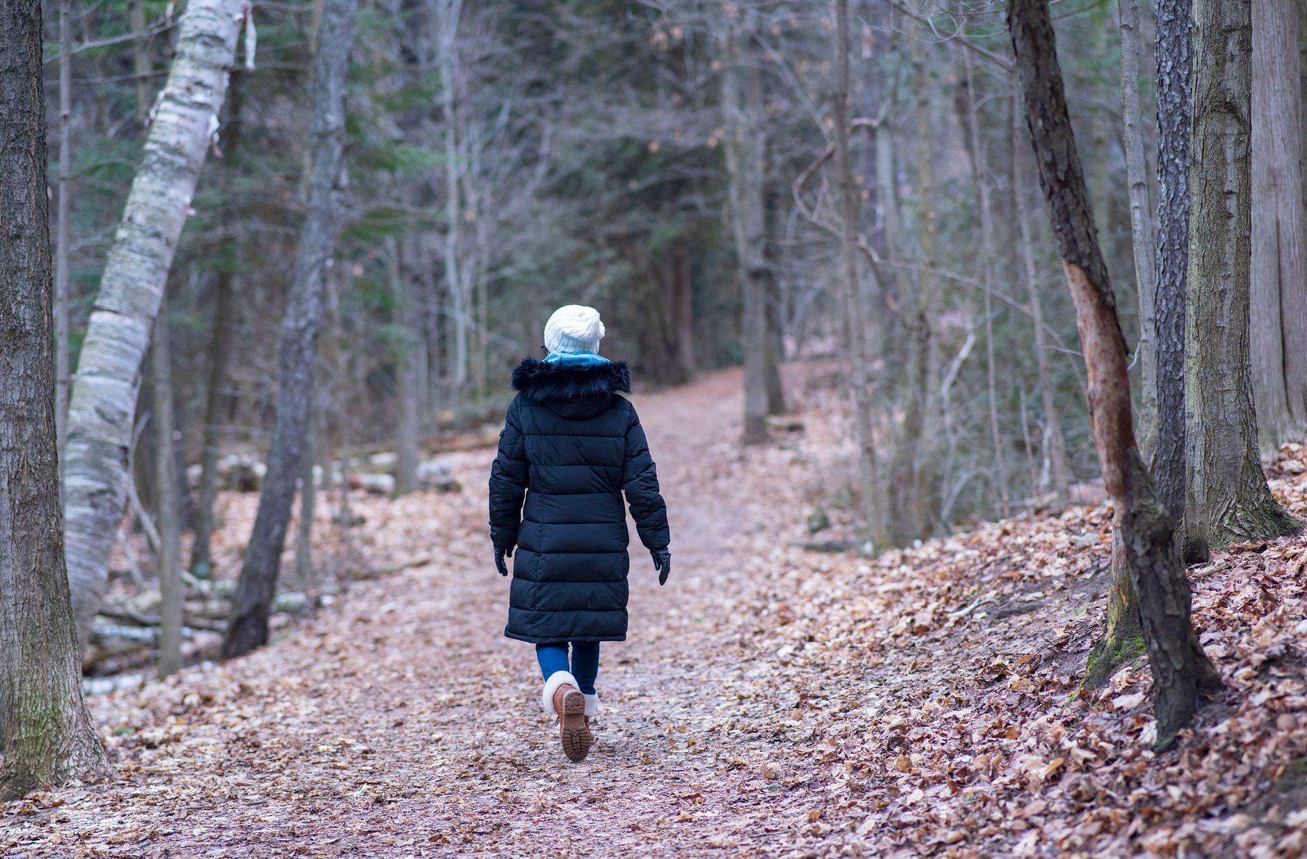 A person in a puffer jacket walks along a peaceful forest pathway in autumn.