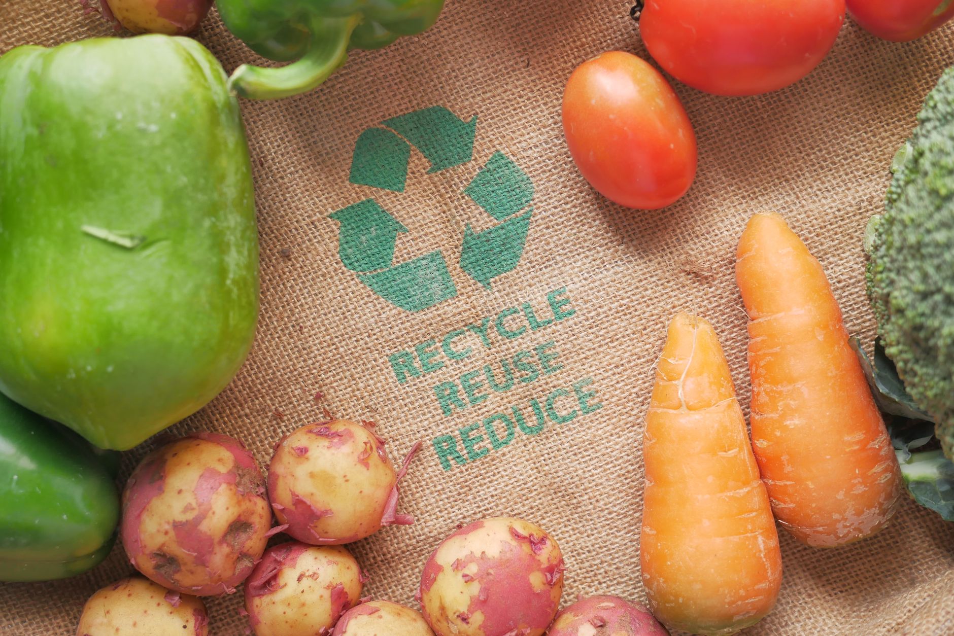 Food Industry Stocks Surge Amid Consumer Demand and Sustainability Trends