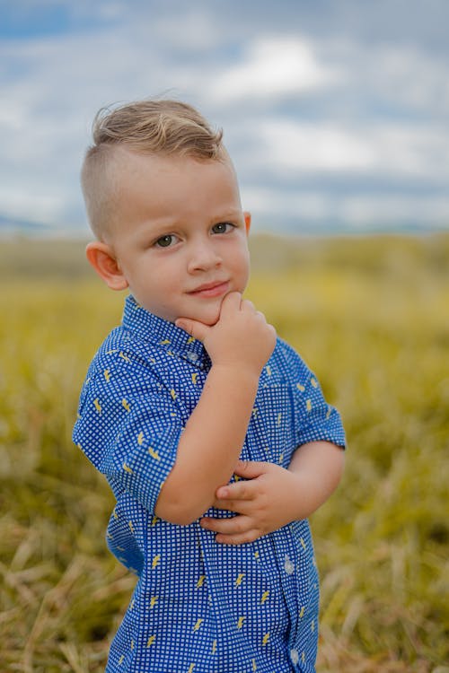 Foto profissional grátis de cabelo curto, camisa, cara