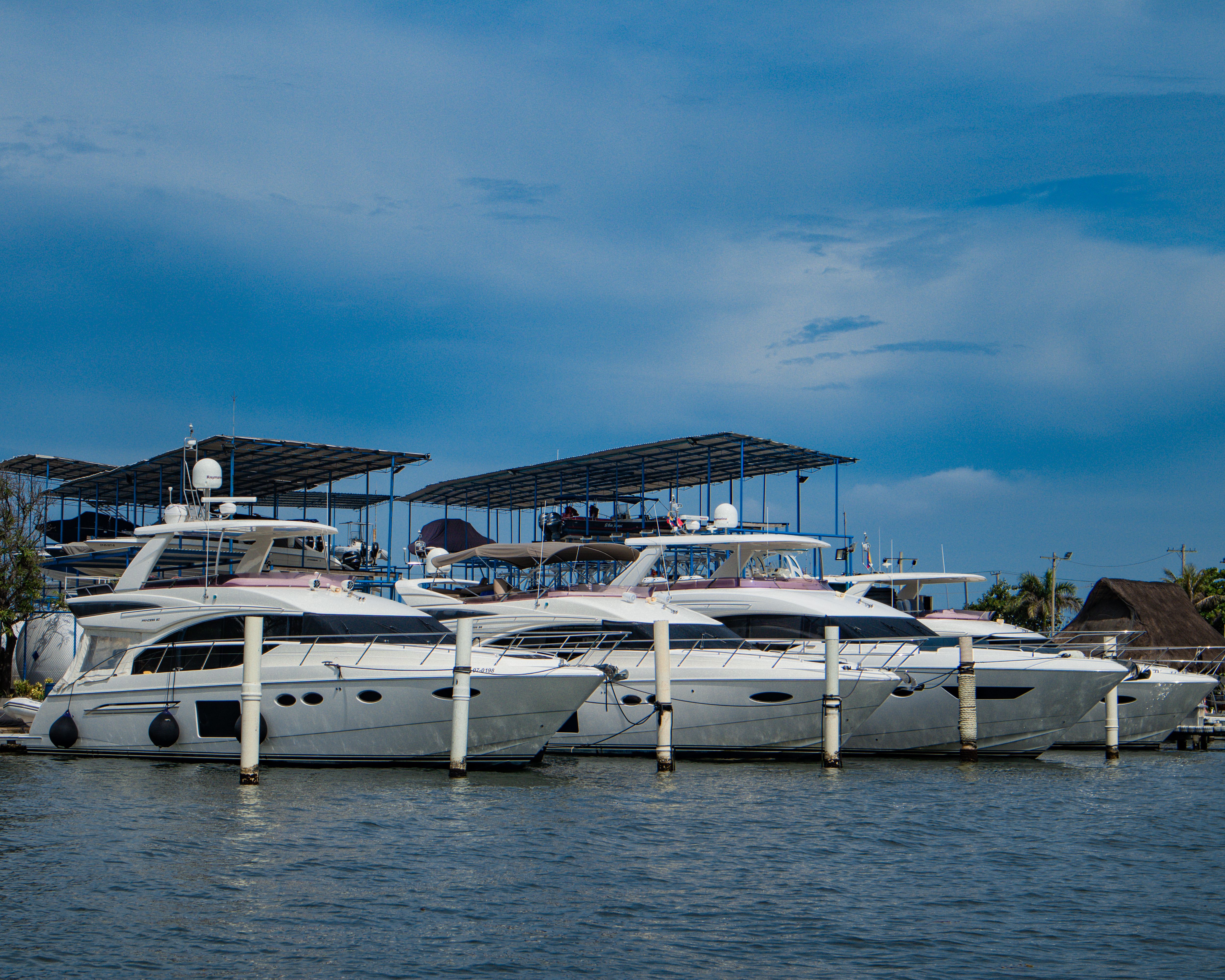 A row of luxury yachts docked at a picturesque marina on a clear day.