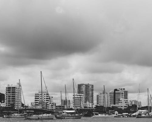 Fotos de stock gratuitas de bahía, blanco y negro, ciudad costera