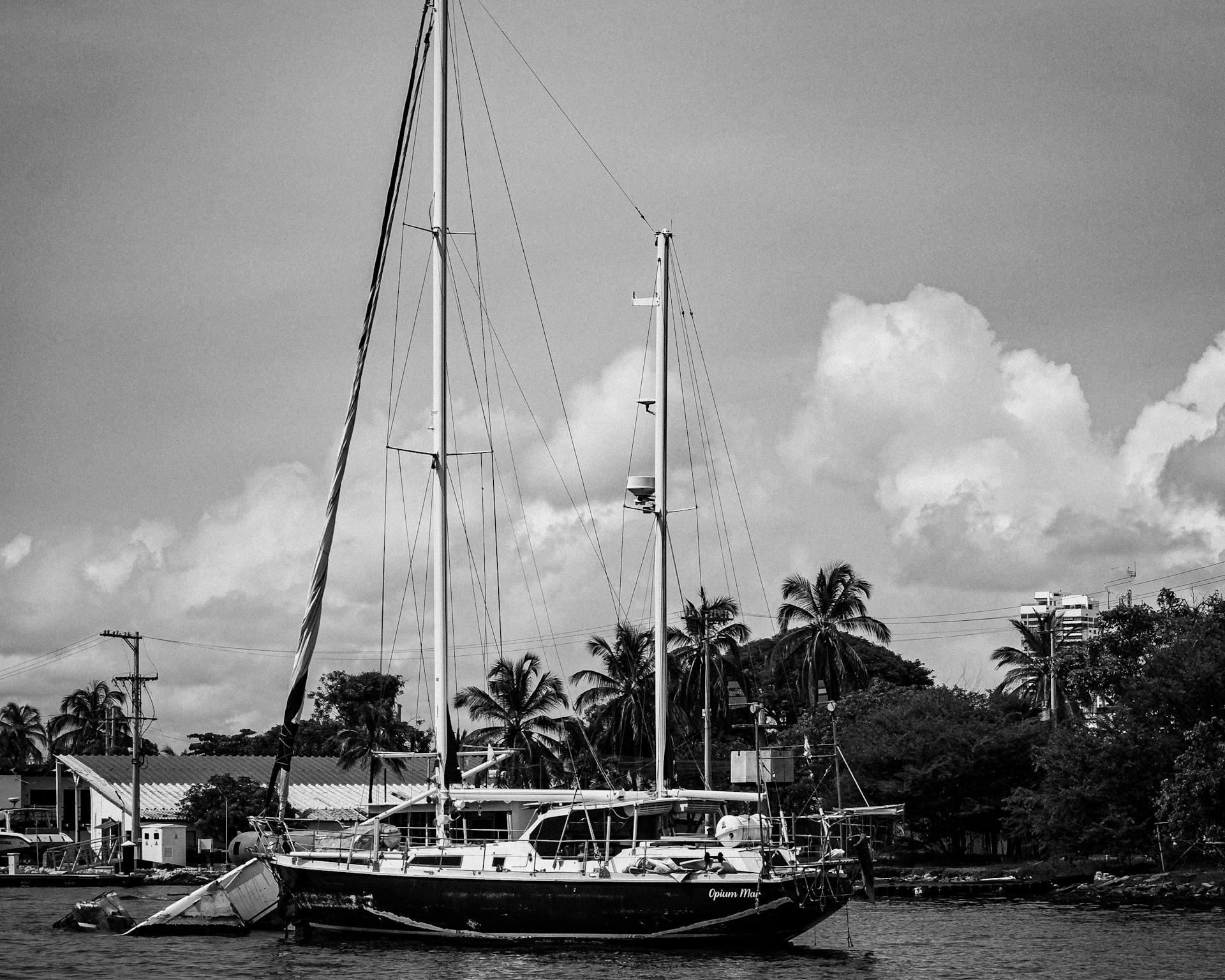 Black and white photo of a luxury yacht anchored near palm trees on a cloudy day.
