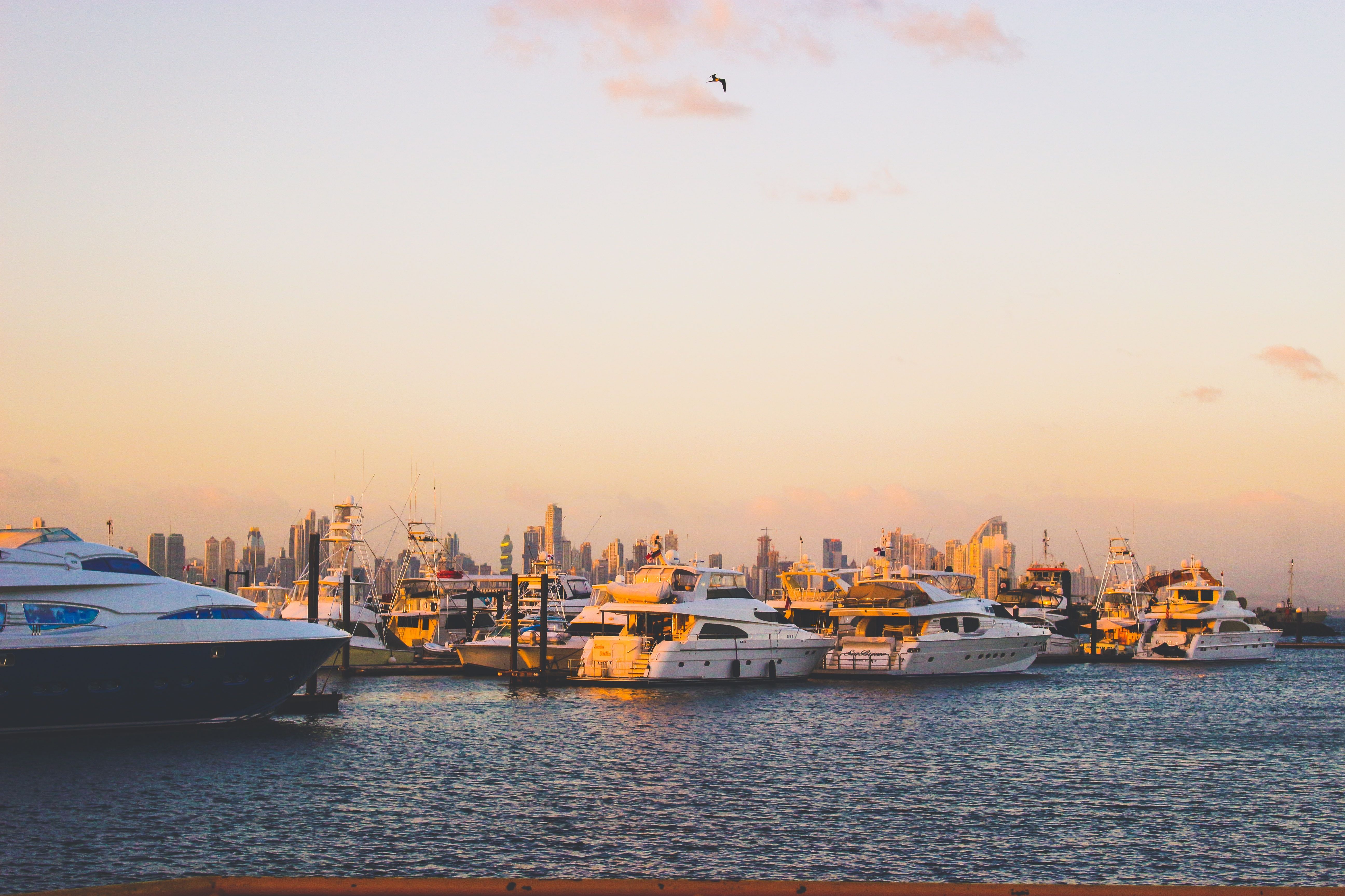 Stunning view of yachts moored in Panama City's marina with a beautiful sunset backdrop. - Ciudad de Panamá