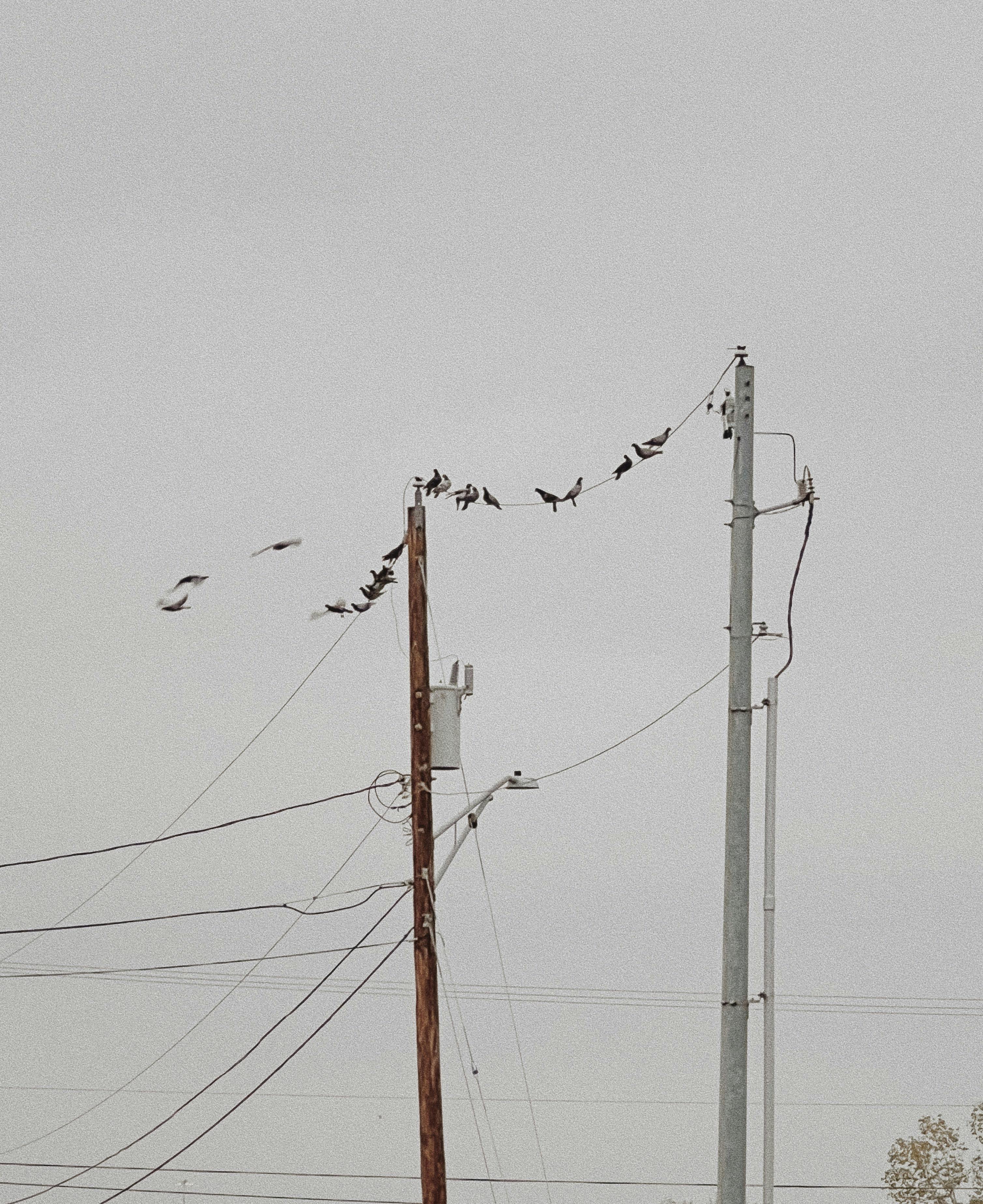 How Does Laredo Texas’ Climate Compare to Other Texas Cities?