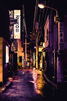 雨夜，东京新宿迷人的街景，在充满活力的霓虹灯下展现