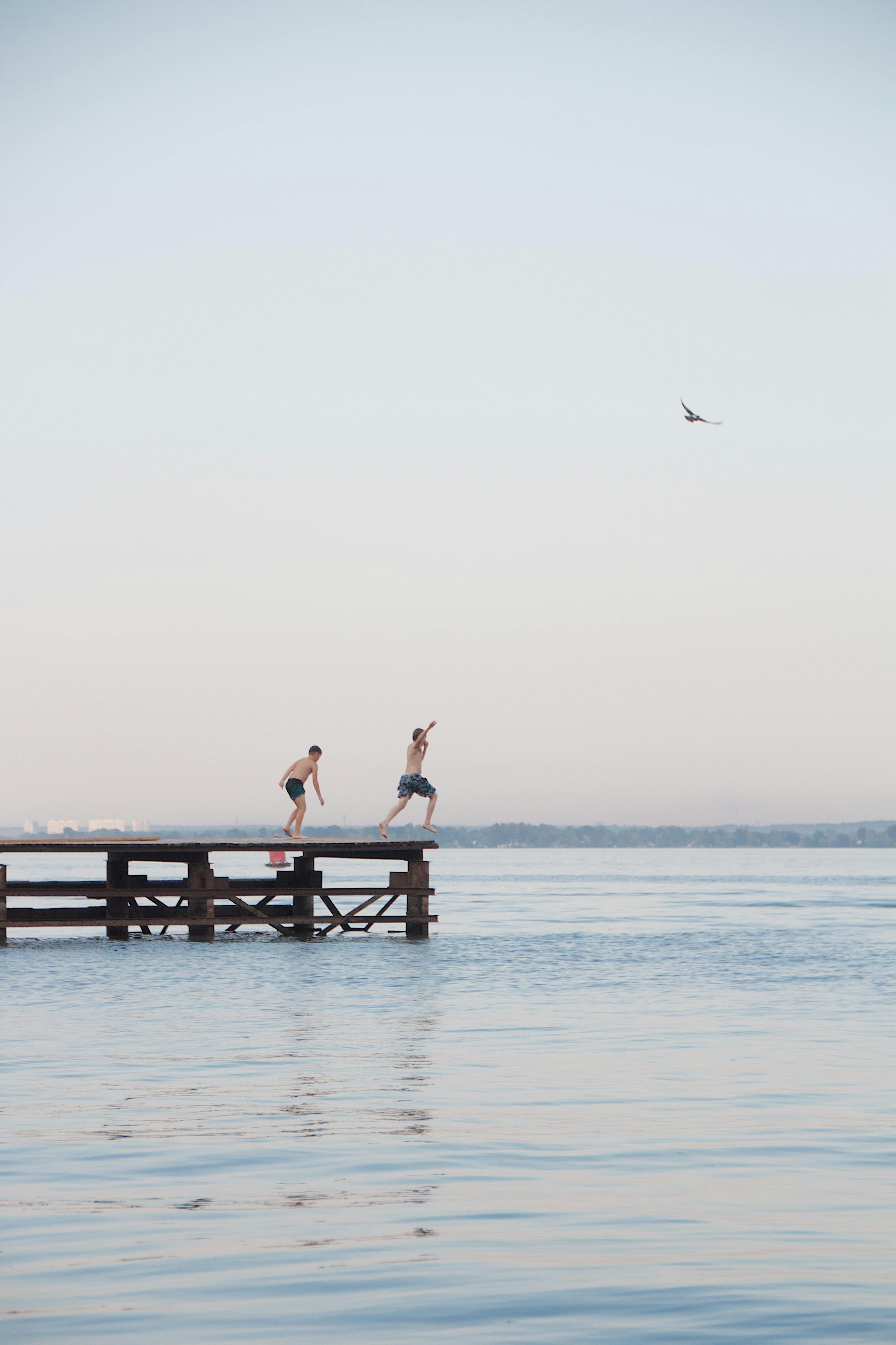 People Jumping Off Pier · Free Stock Photo