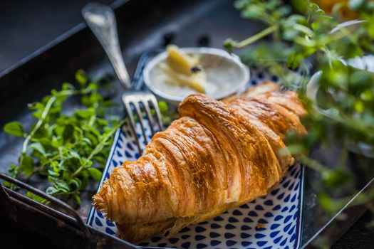 Close-up of a crispy croissant with fresh herbs and butter on a patterned plate.