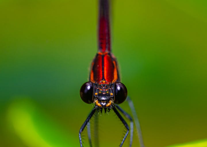 Testimonios de Estilos Modernos