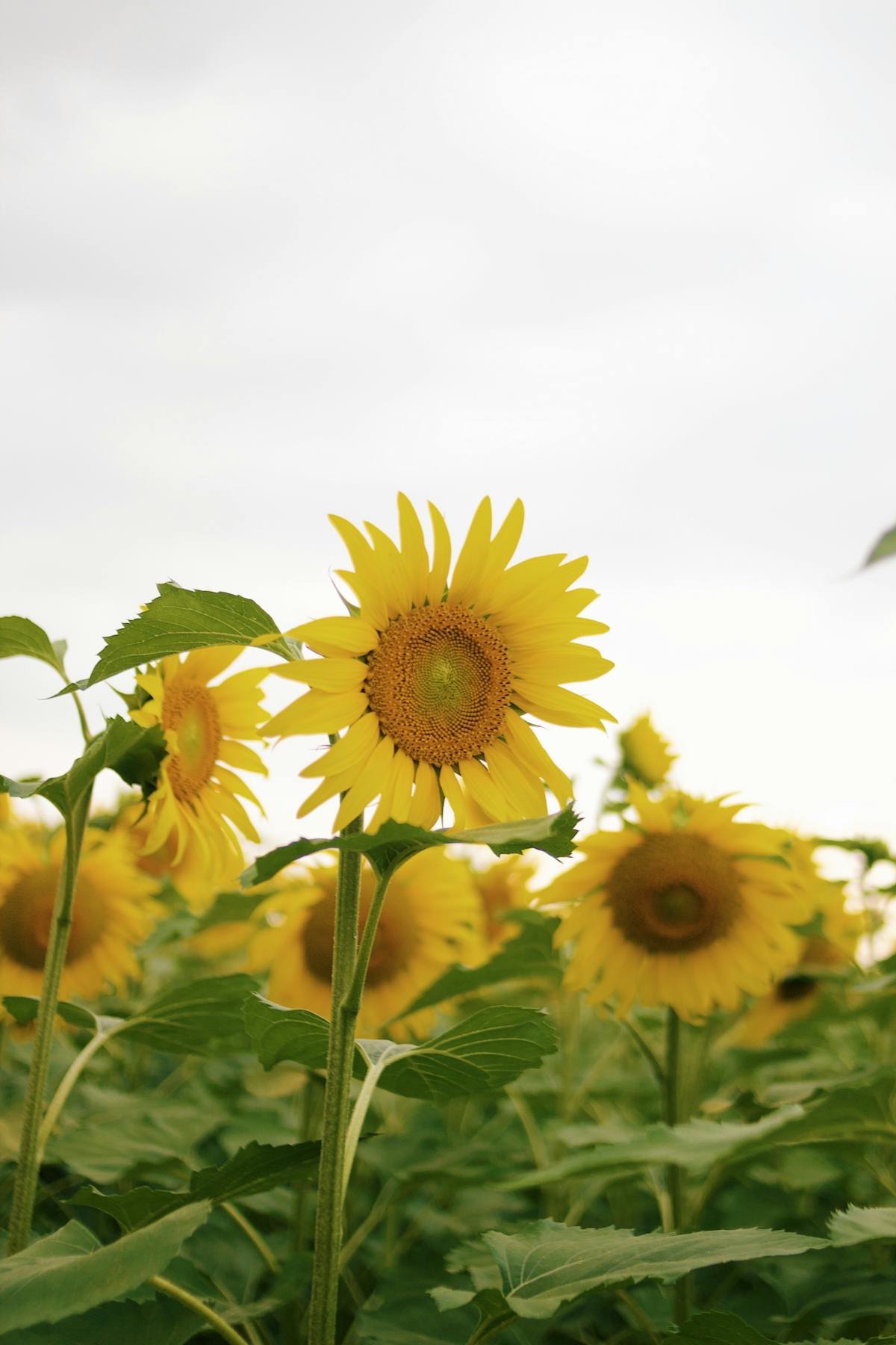 A person eating a small balanced breakfast of eggs, avocado, and vegetables