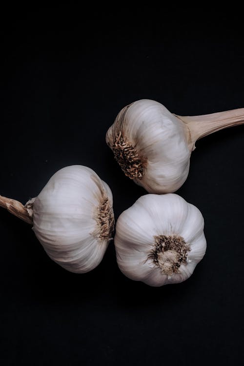 Heads of Garlic on Black Background