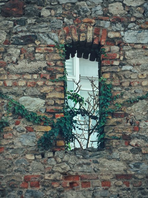 Free A rustic stone wall with ivy growing through a narrow arched window. Historic charm and nature's resilience. Stock Photo