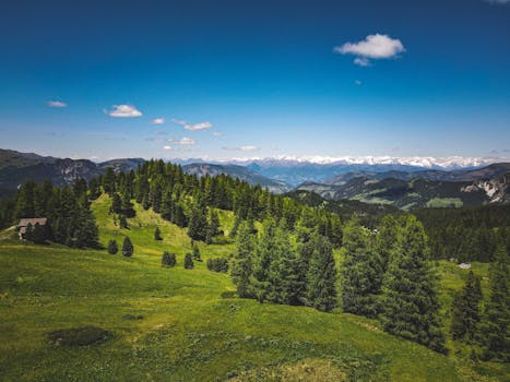 Scenic view of lush green alpine meadow with mountain backdrop and clear blue sky.
