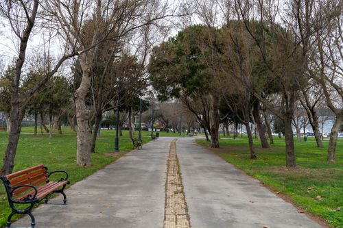 Free Peaceful park scene with benches and trees lining a pathway in autumn. Stock Photo