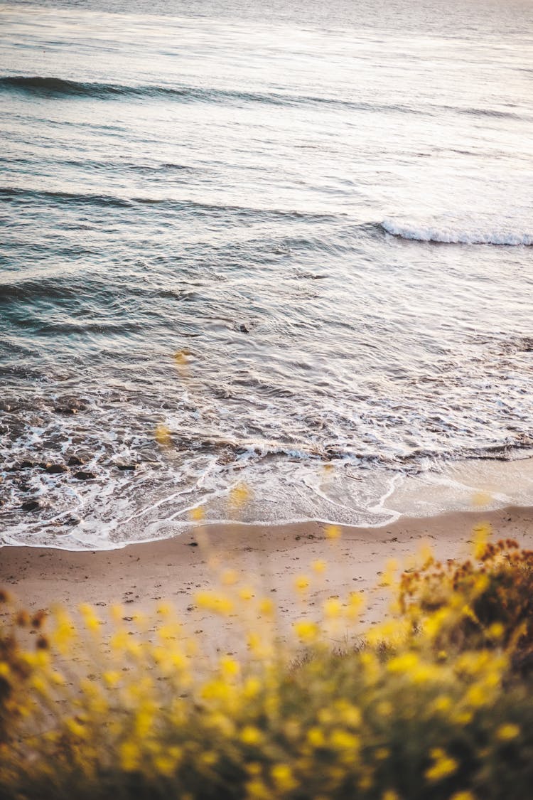 Ocean Waves Rushing To Shore