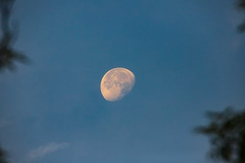 Kostenloses Stock Foto zu blauer himmel, halbmond, luna