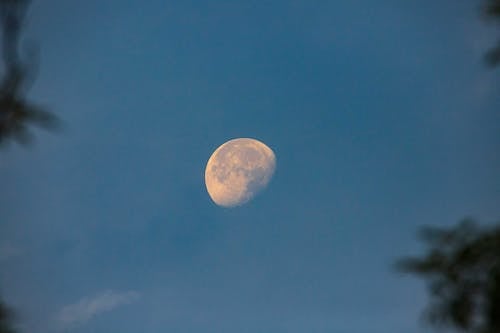 Základová fotografie zdarma na téma luna, lunární, měsíc