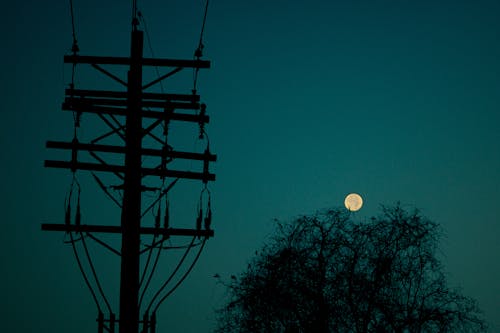 Full Moon (Luna) with power pole and tree