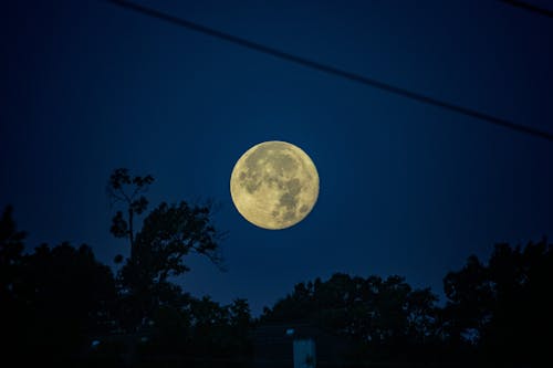 Fotos de stock gratuitas de arboles, fondo de luna, fondo de pantalla de luna